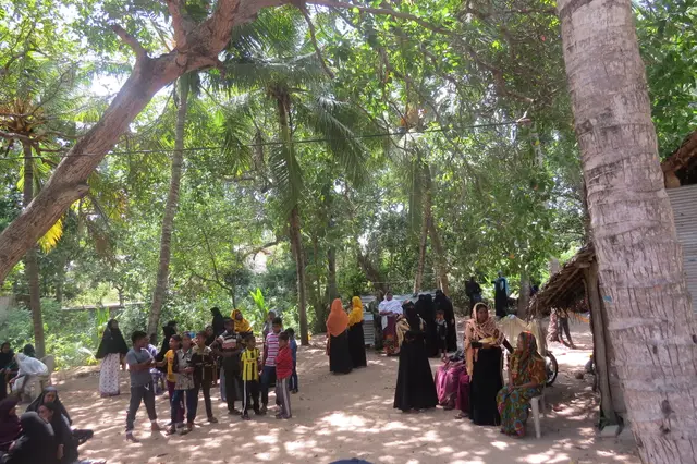 Qurbani meat distribution, 2016 to 2018. Photo 14 of 15.