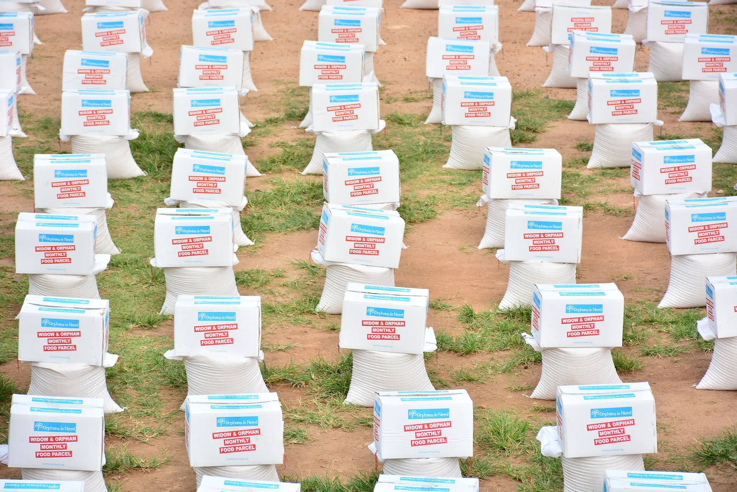 Rows of food parcels laid out on grass before a distribution.