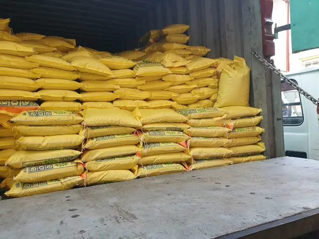 COVID-19 food relief, 2020. Photo 84 of 105.